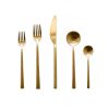 5 Piece Ps Movida Oro Ice Flatware Set