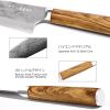 Kegani Kiritsuke Knife - 8 Inch Professional Japanese Chef's Knife, 67 Layers AUS-10 Damascus Steel Kitchen Ultra-Sharp Knife - D-Shaped Handle