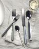 20 Piece Set Fantasia Sage Flatware Set