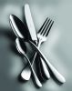 Place Setting 5 Piece Brescia Ice Champagne Flatware Set